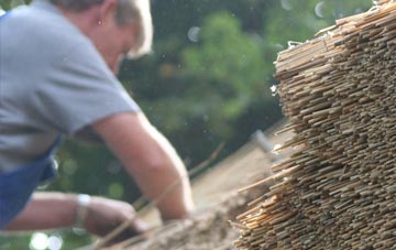 professional Greysouthen thatchers